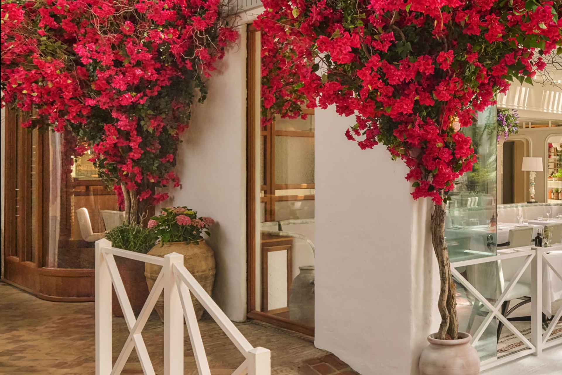 gaia marbella