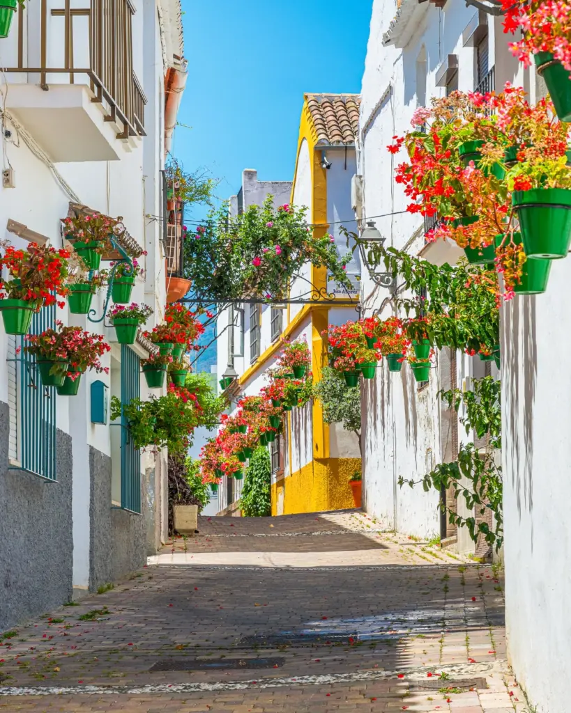 exploring Malaga