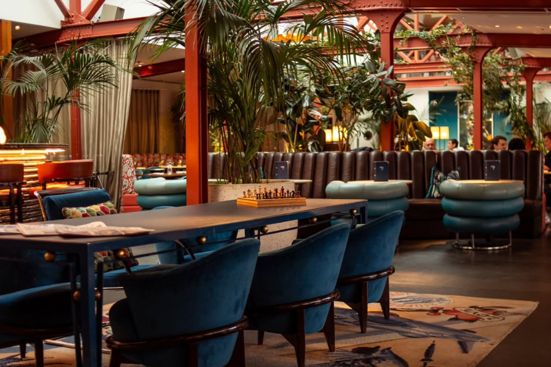 bluebird chelsea