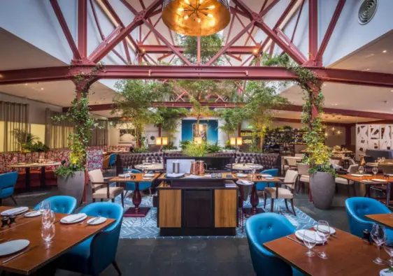 Bluebird Chelsea