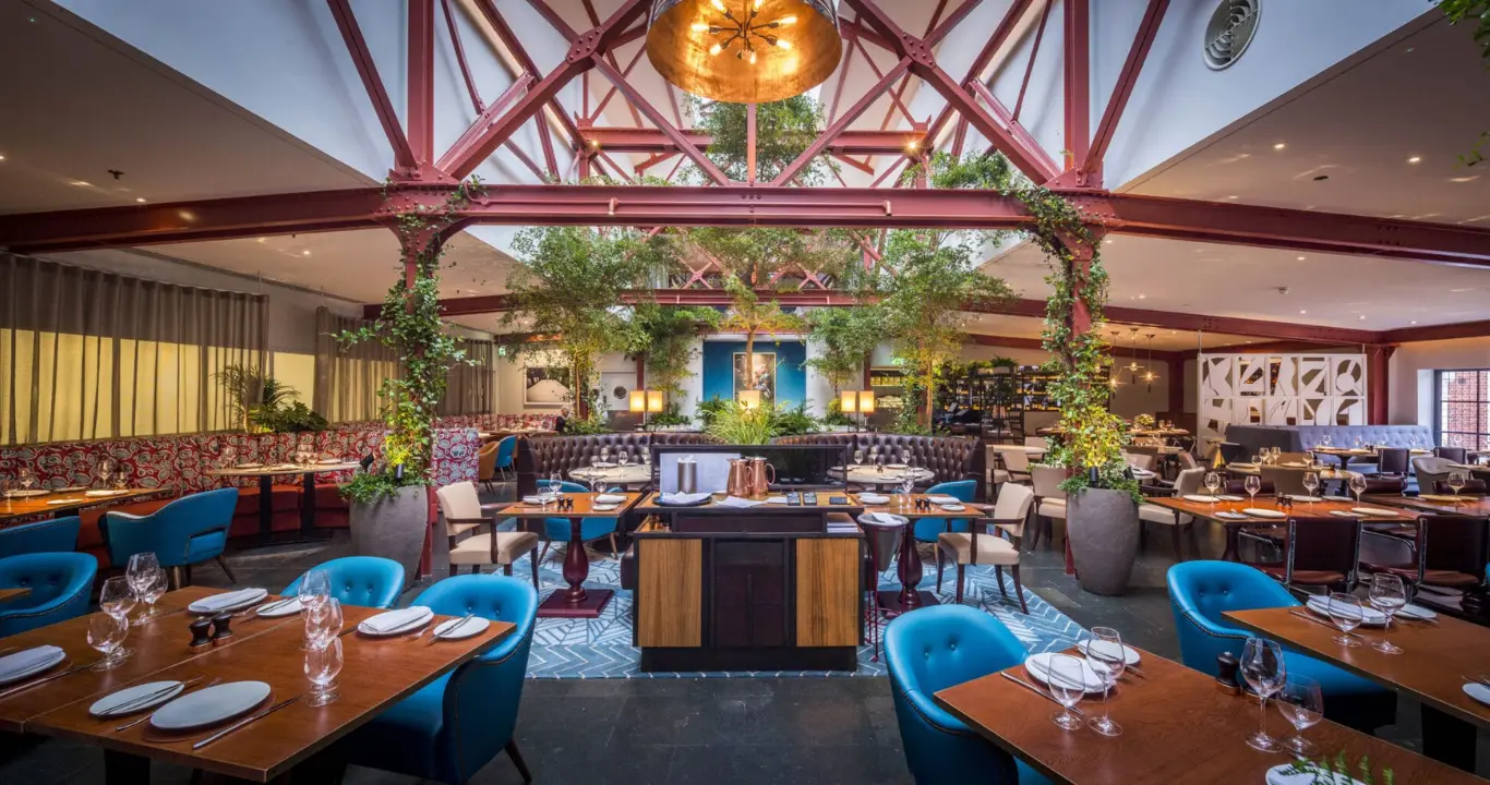 Bluebird Chelsea