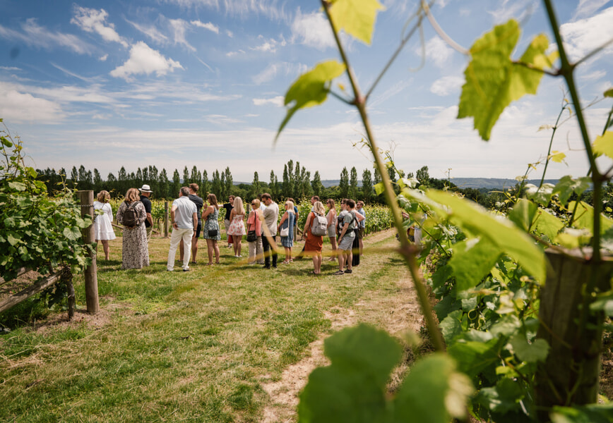 Exclusive Wine Tasting at Nyetimber Vineyard