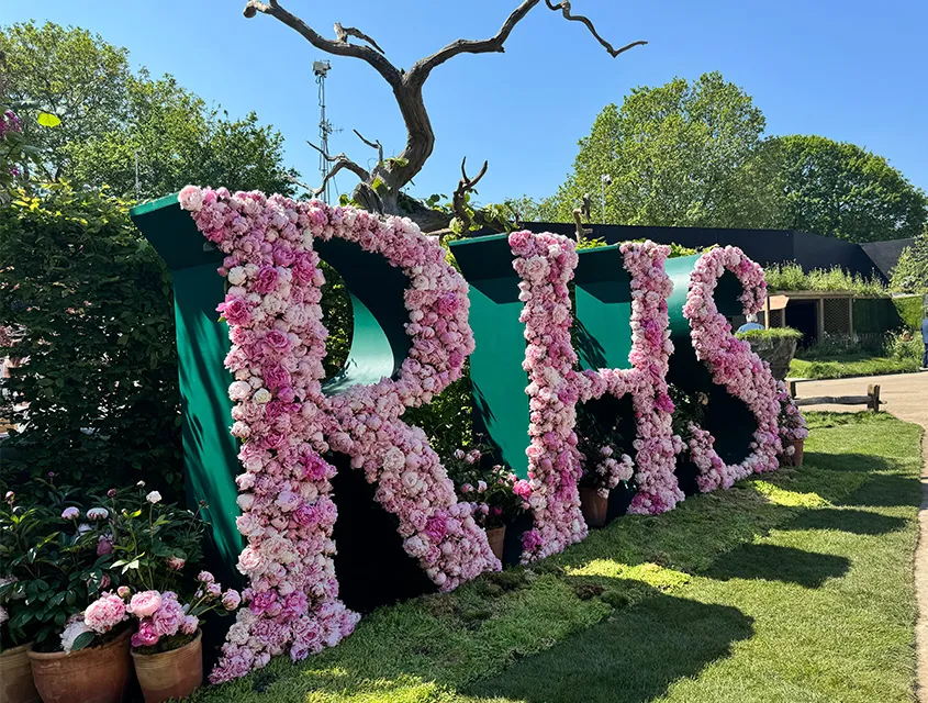 rhs