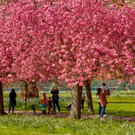 10 Elegant Brunch Spots in London for Easter and Beyond