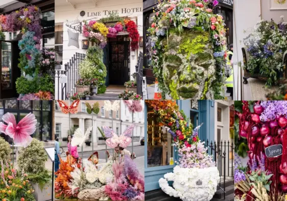 Chelsea and Belgravia in Bloom