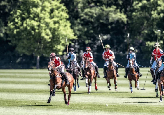 cartier queen’s cup