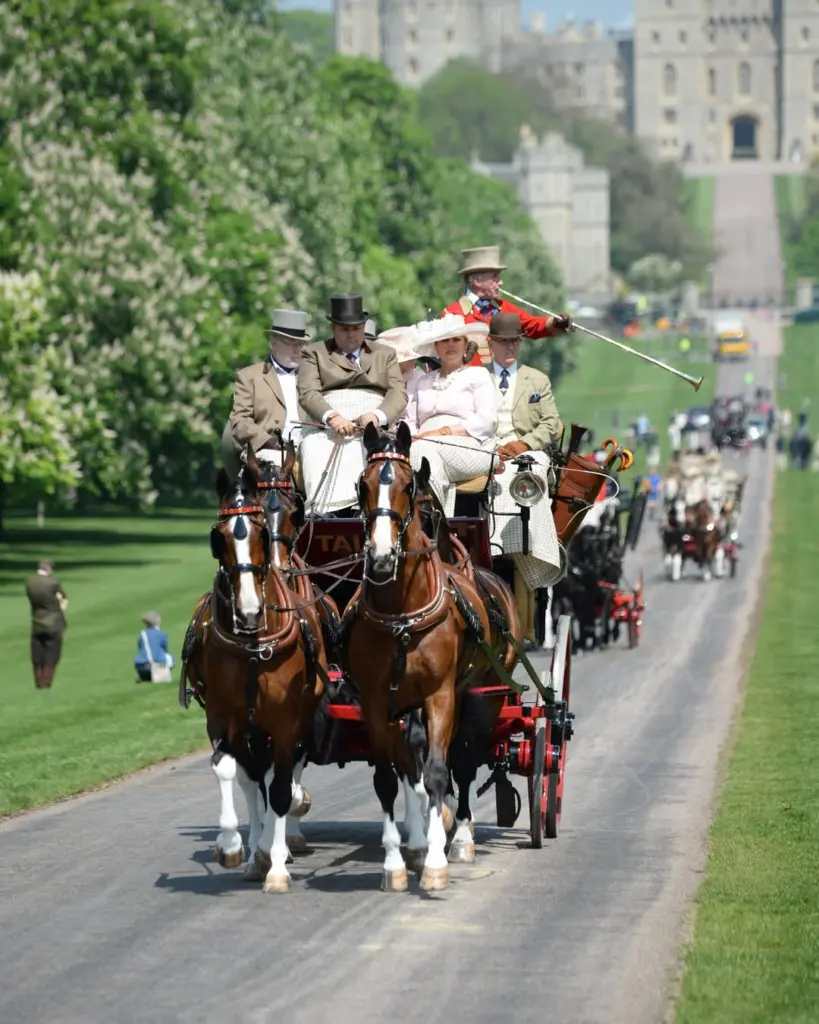 RWHS experience