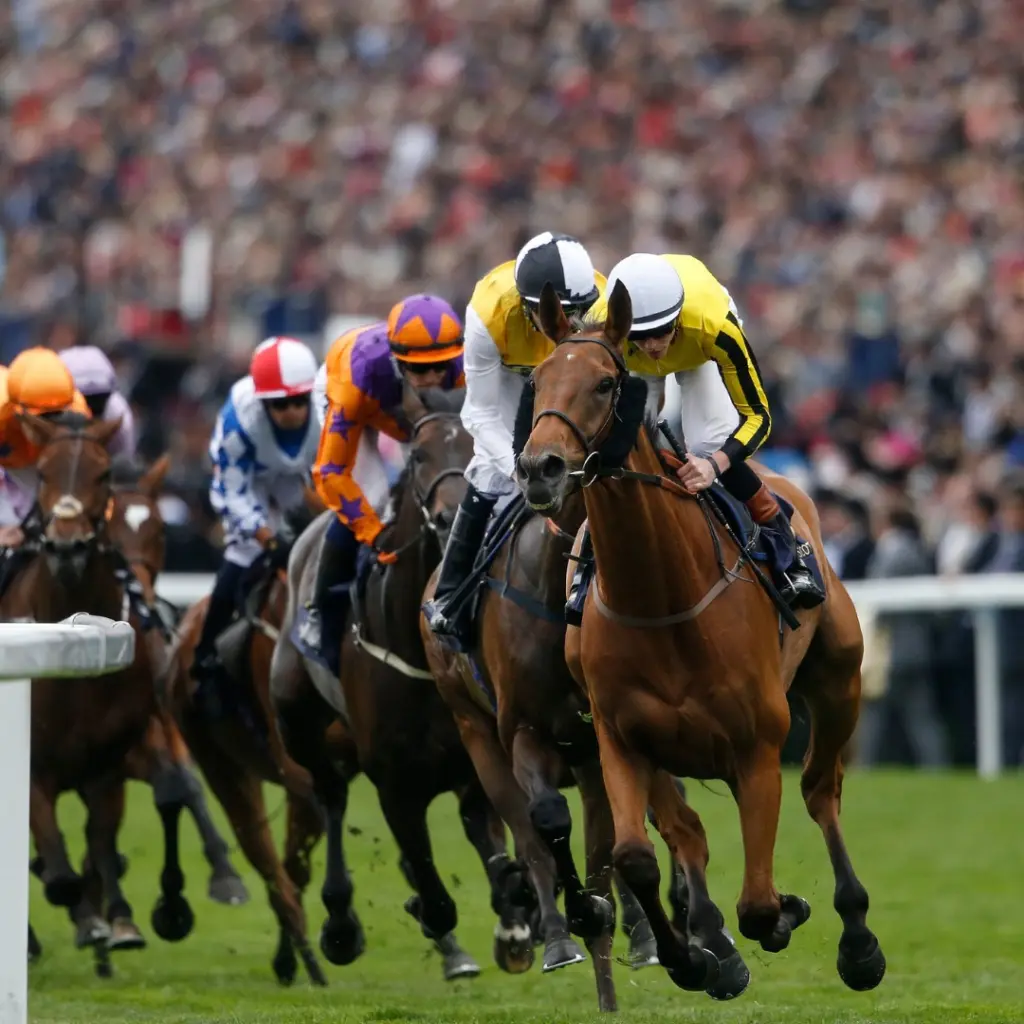 Royal Ascot event