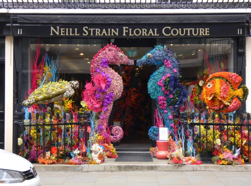 belgravia bloom