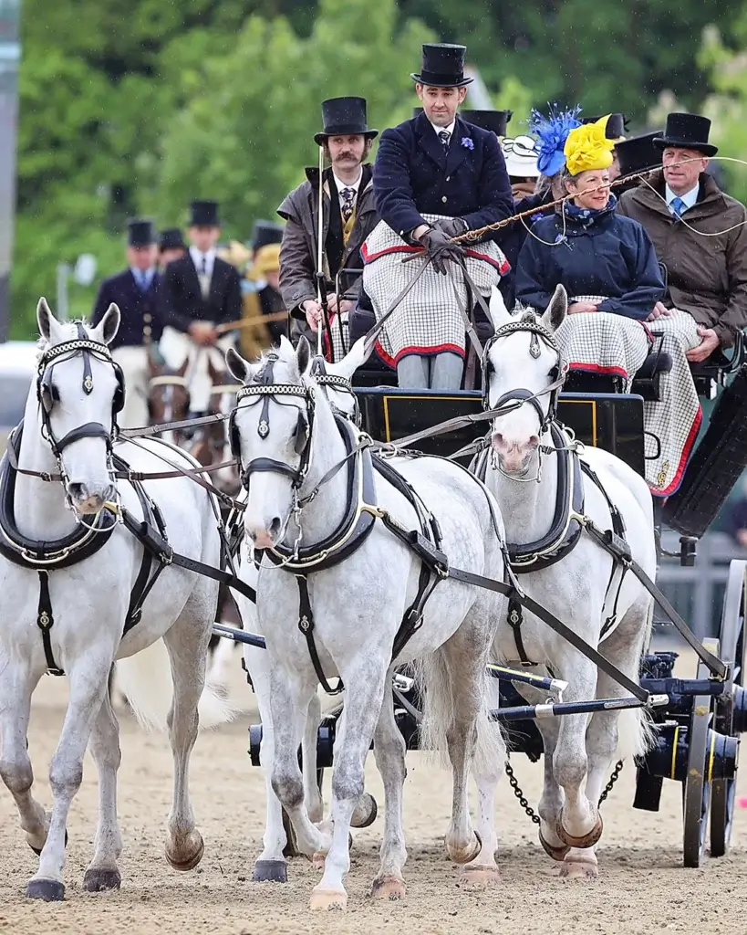 royal windsor horse show