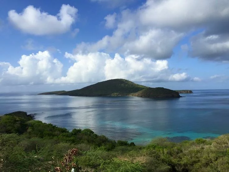 Cayo Norte, Puerto Rico – Larry Page