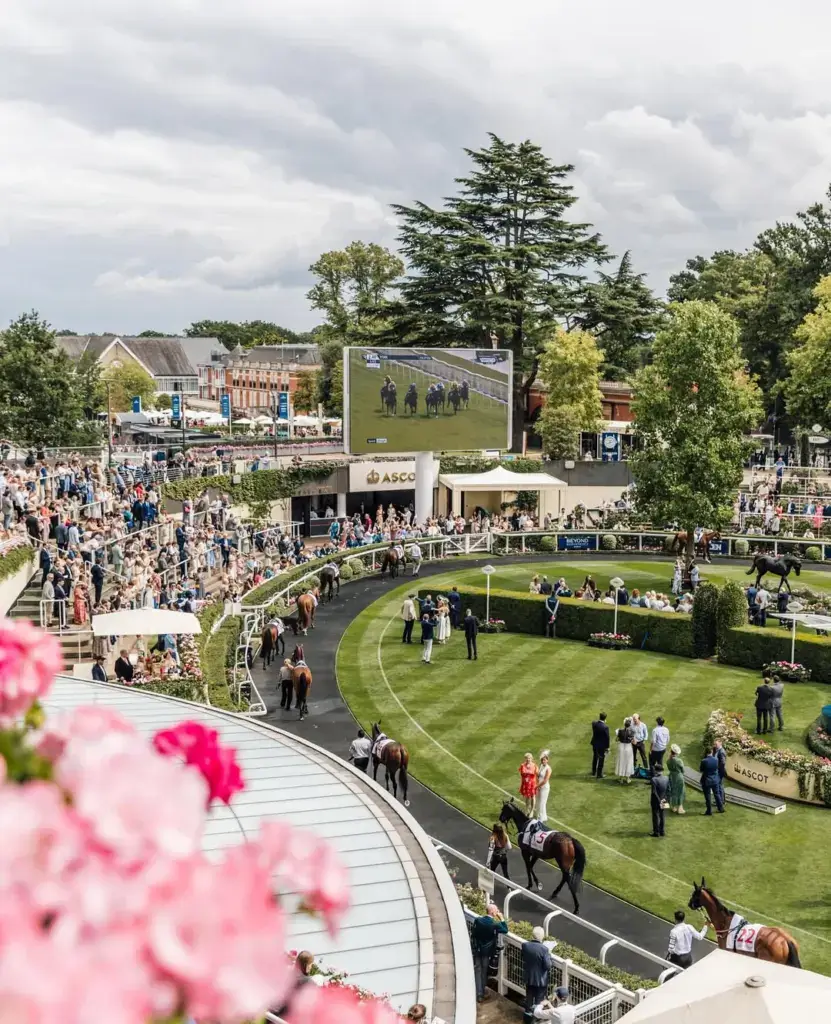 Royal Ascot proceedings