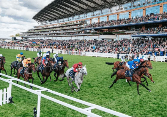 royal ascot