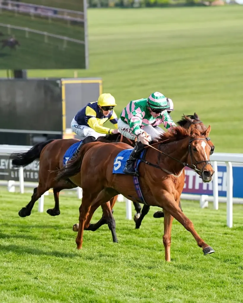 racing at The Betfred Derby