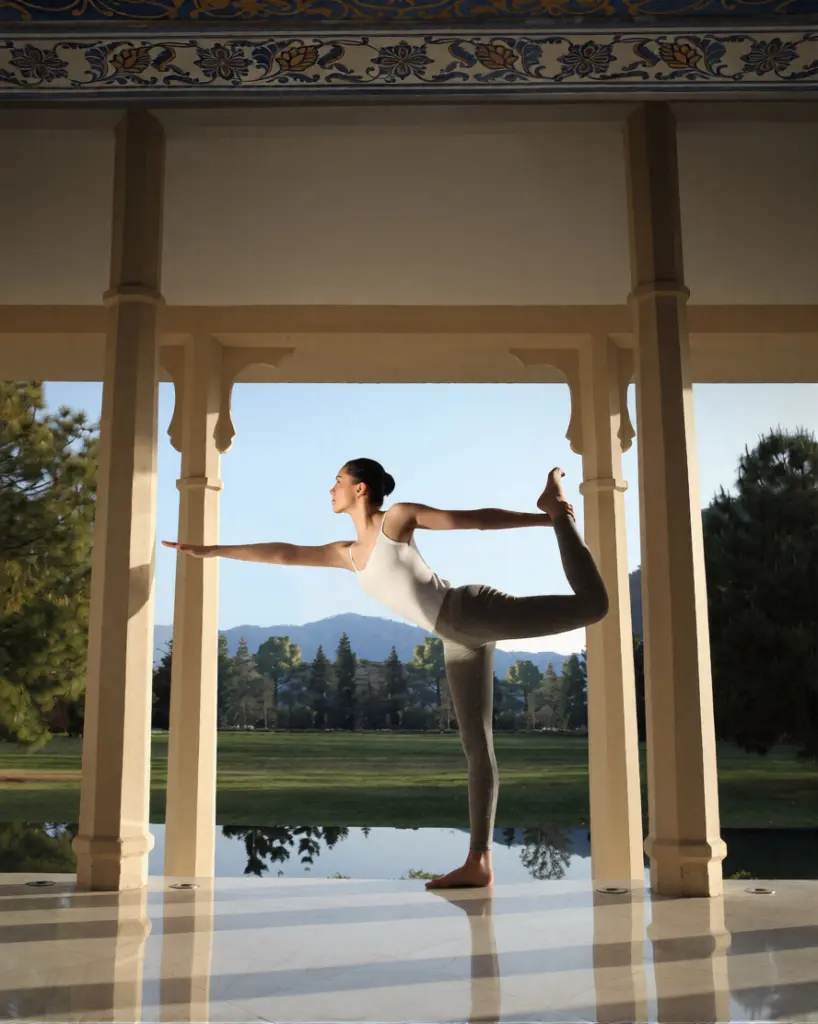 Ananda in the Himalayas
