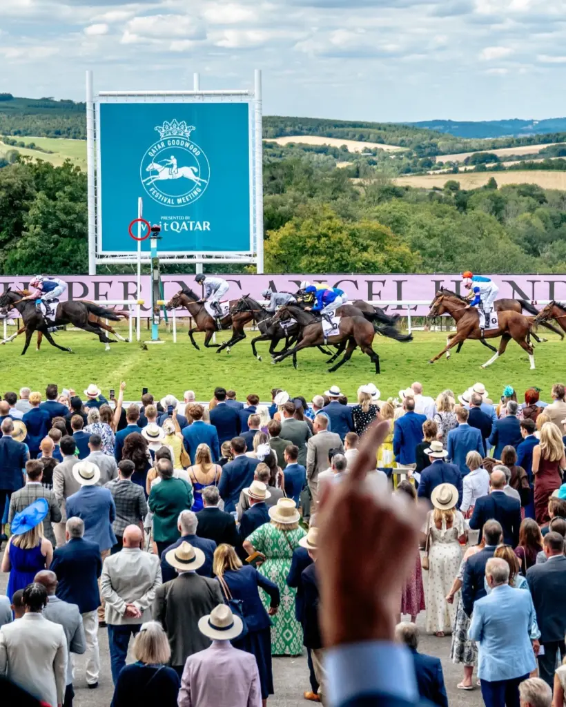 Qatar Goodwood Festival race