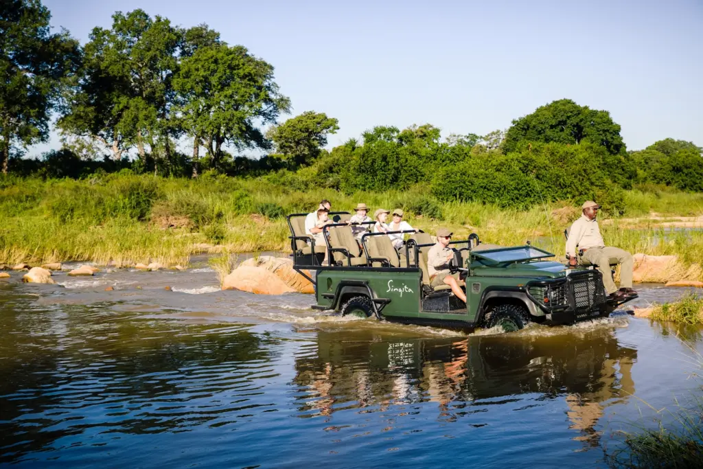 Safari Celebration in Botswana or South Africa