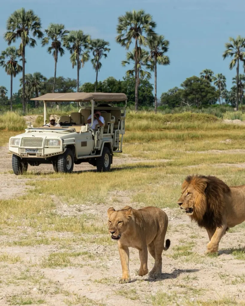safari escape