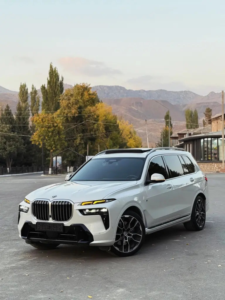 BMW X7