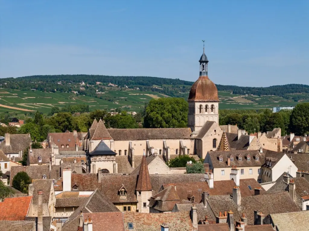 Burgundy's Hidden Wine Estates