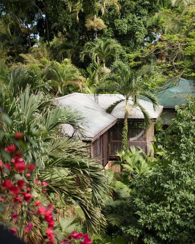 Copal Tree Lodge