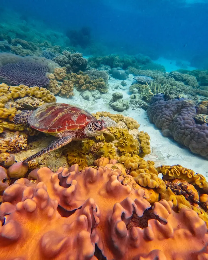 Great Barrier Reef, Australia