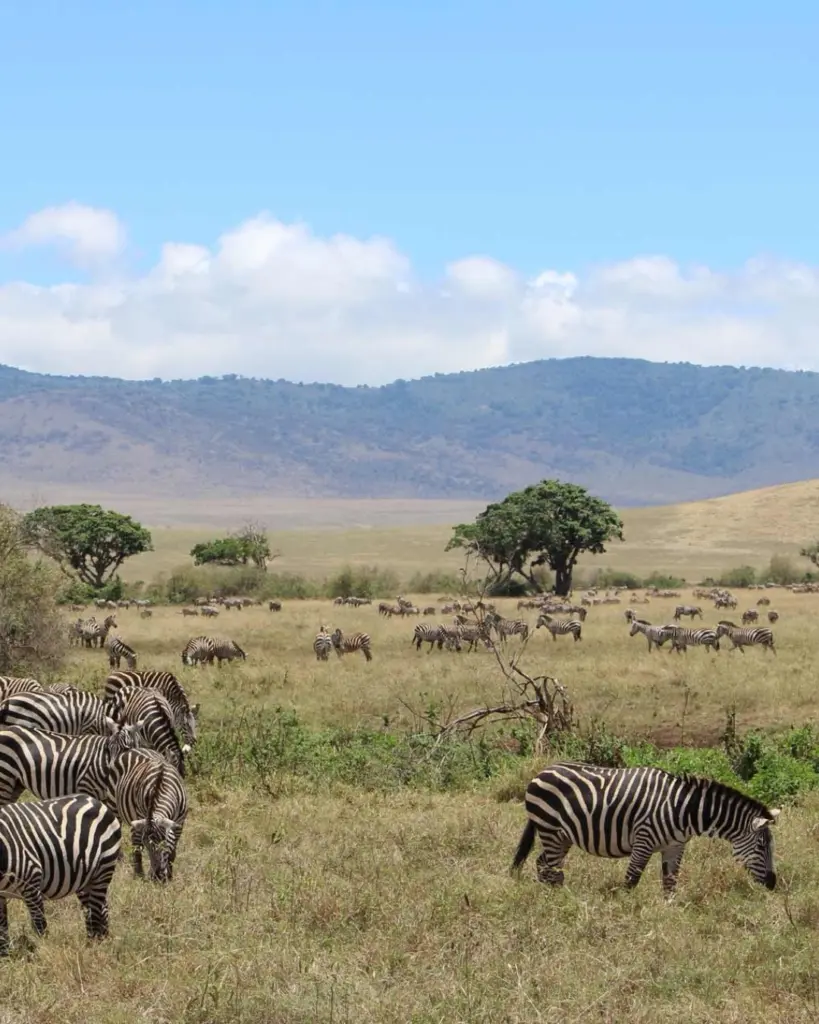 Ngorongoro Crater