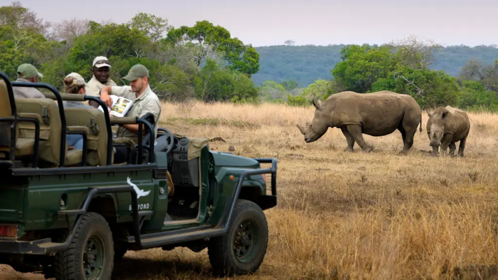South Africa Phinda Private Game Reserve Game Drive Rhino 7