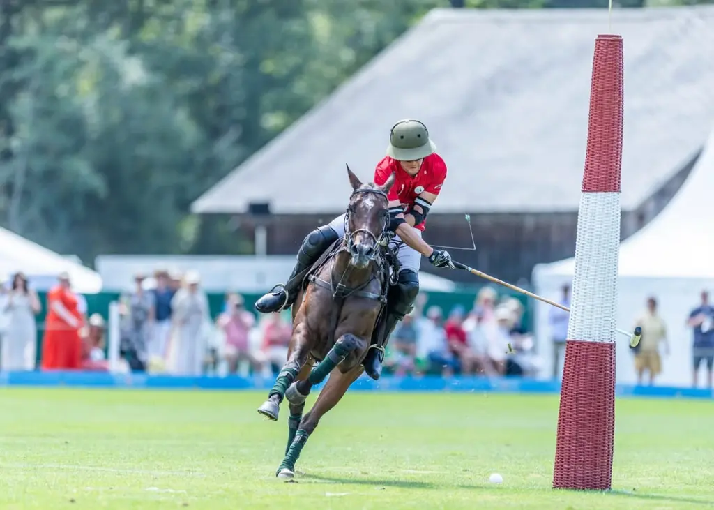 Hublot Polo Gold Cup Gstaad