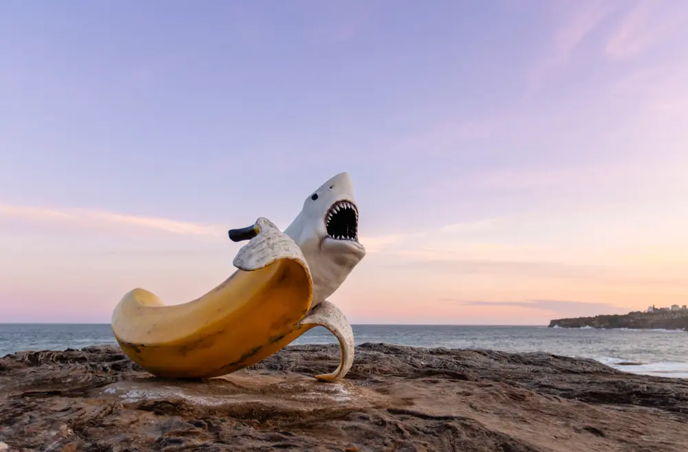Sculpture by the Sea – Sydney, Australia