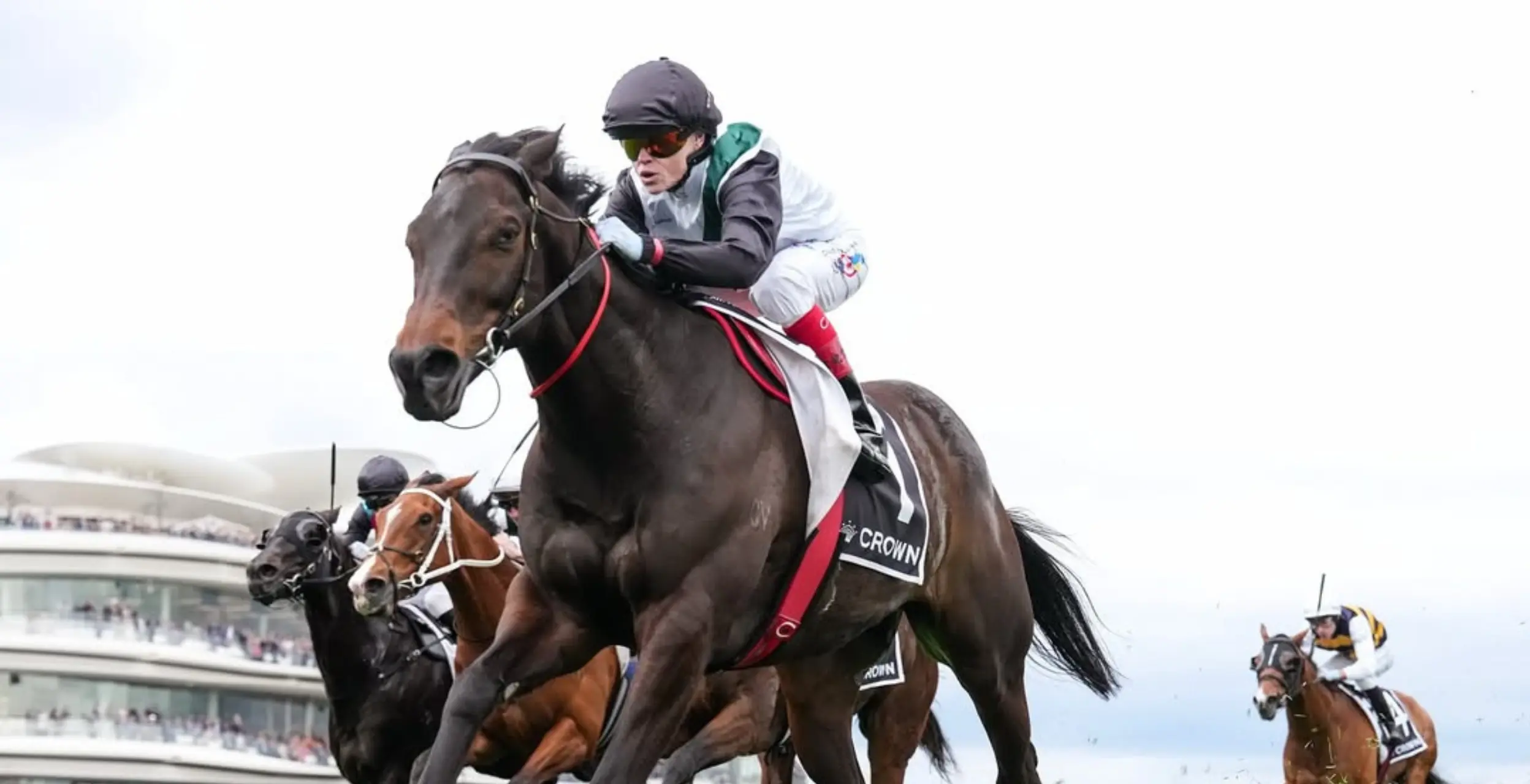 luxury calendar for november