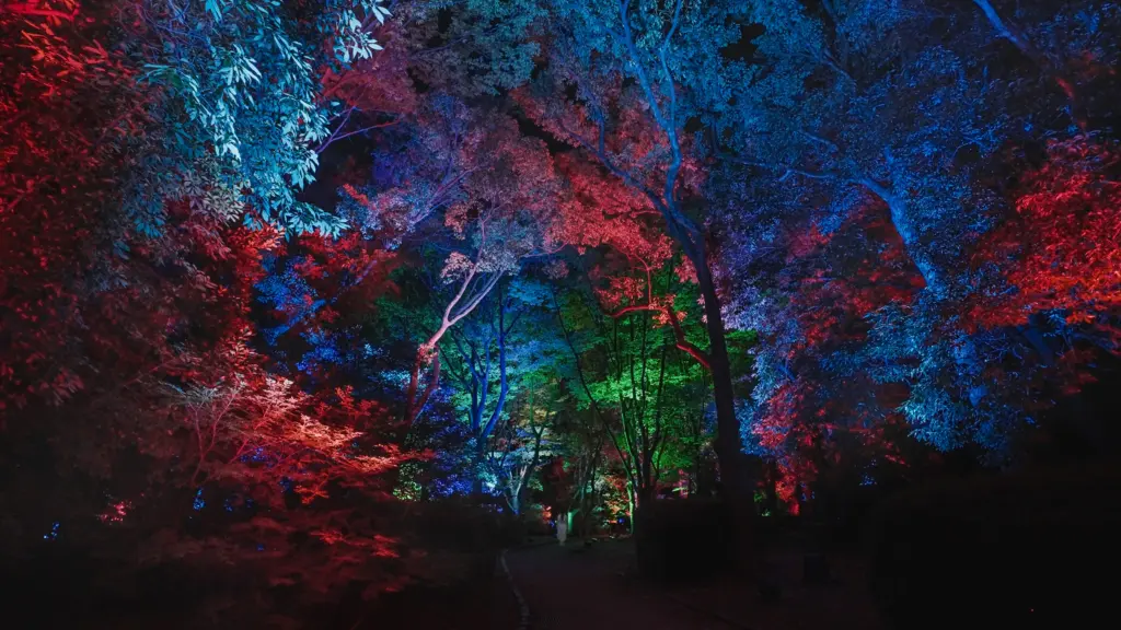 teamLab Outdoor Installations – Japan