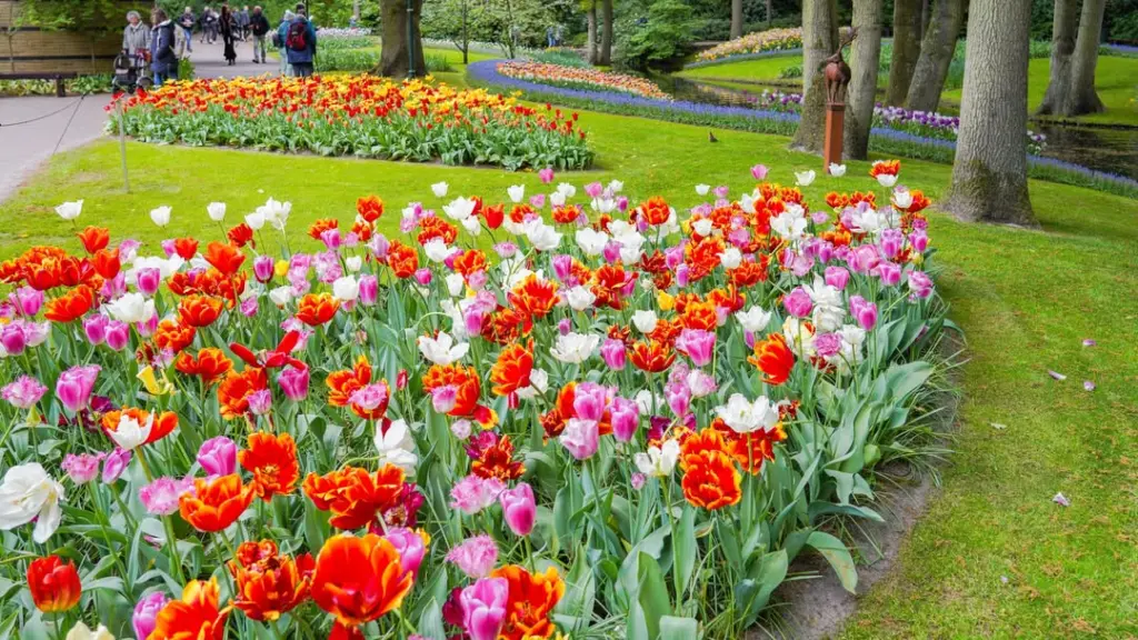 Keukenhof – Lisse, Netherland