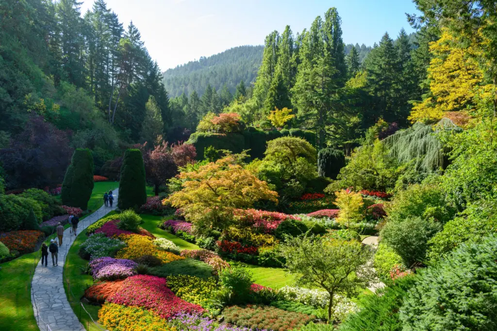 Sunken Garden 2025 10 01T081240 765