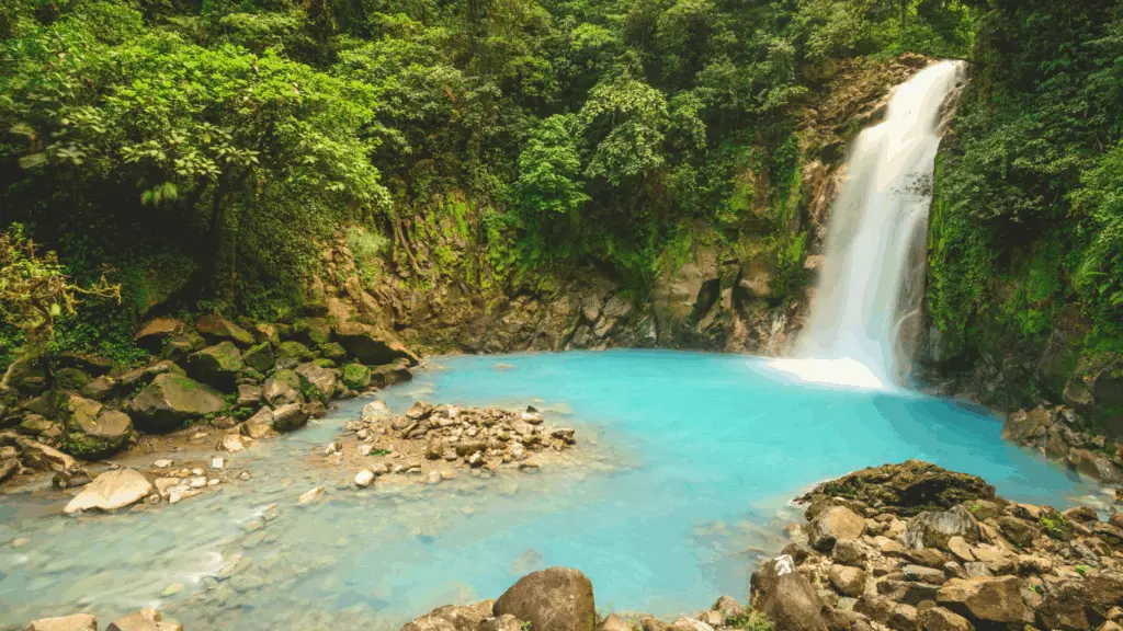 jungle expedition in costa rica