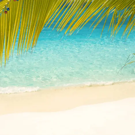 Christmas in New York: Top 9 Experiences for Luxury Travellers