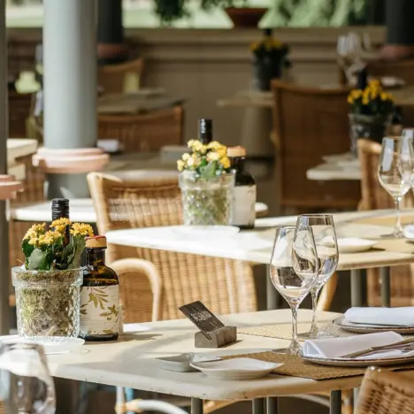 Eddy’s Bar: Cocktails and Calm at Marbella’s Luxury Escape