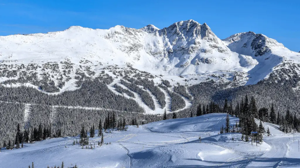 whistler blackcomb skiing
