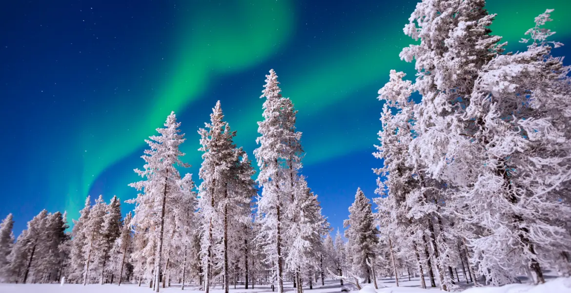 christmas in lapland