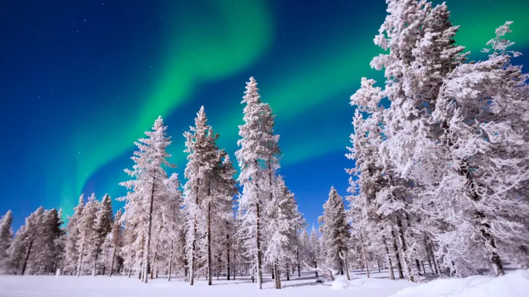 christmas in lapland
