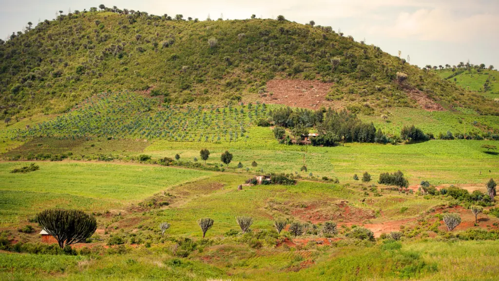 laikipia, kenya