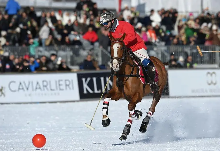 snow polo st moritz