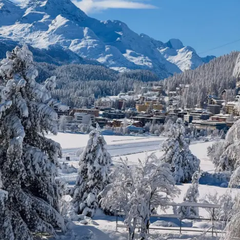 Billionaire Luxury Calendar for February 2026