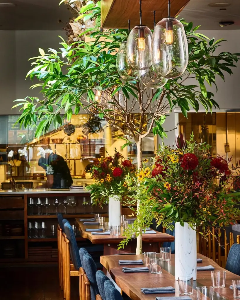 Sorrel, San Francisco