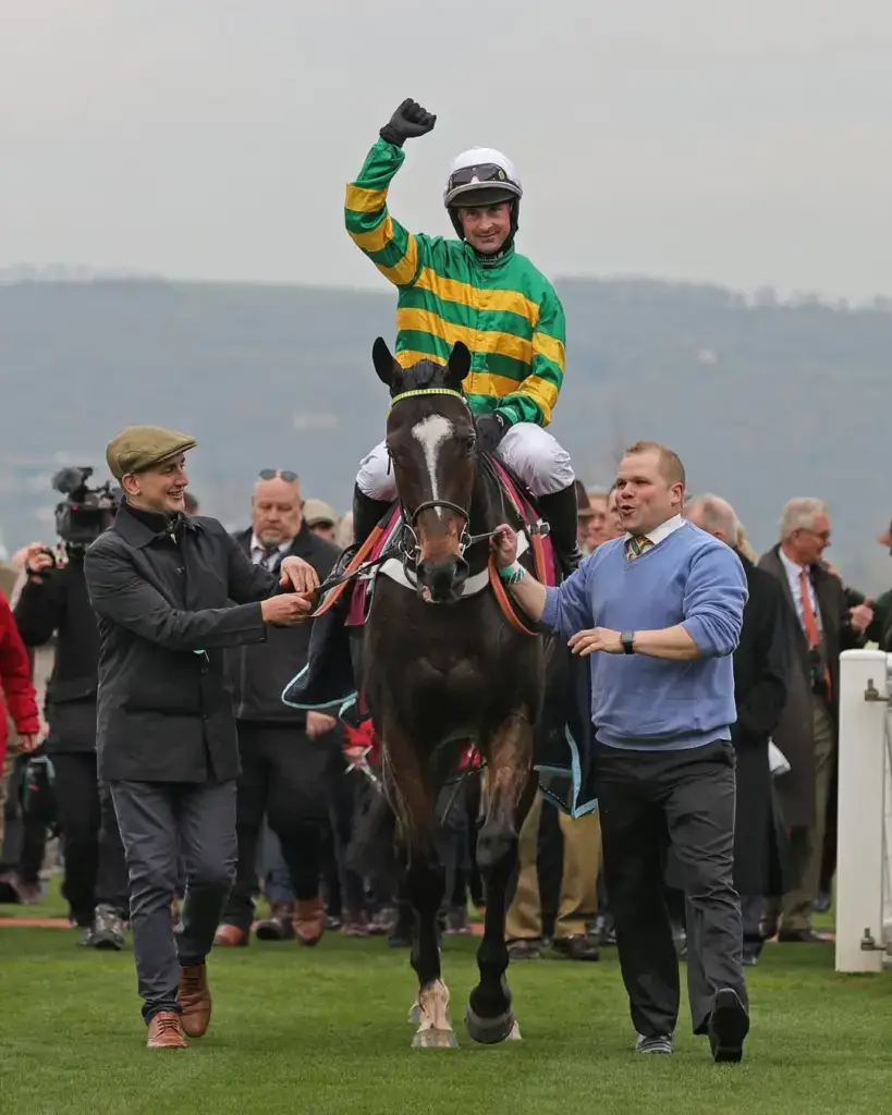 Cheltenham Festival racer