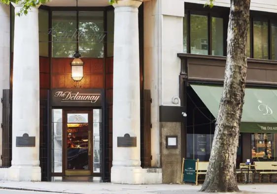The Delaunay