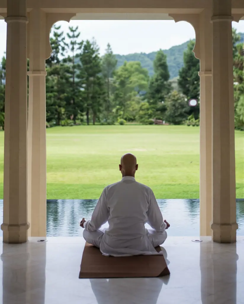 Ananda in the Himalayas