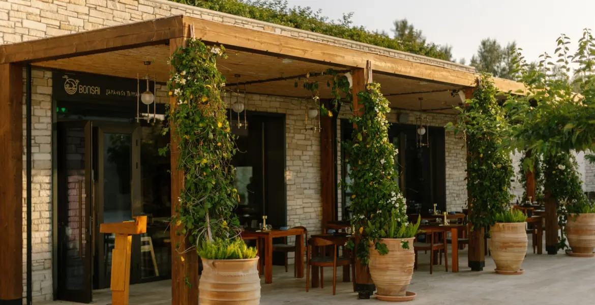 Bonsai at Cap St Georges