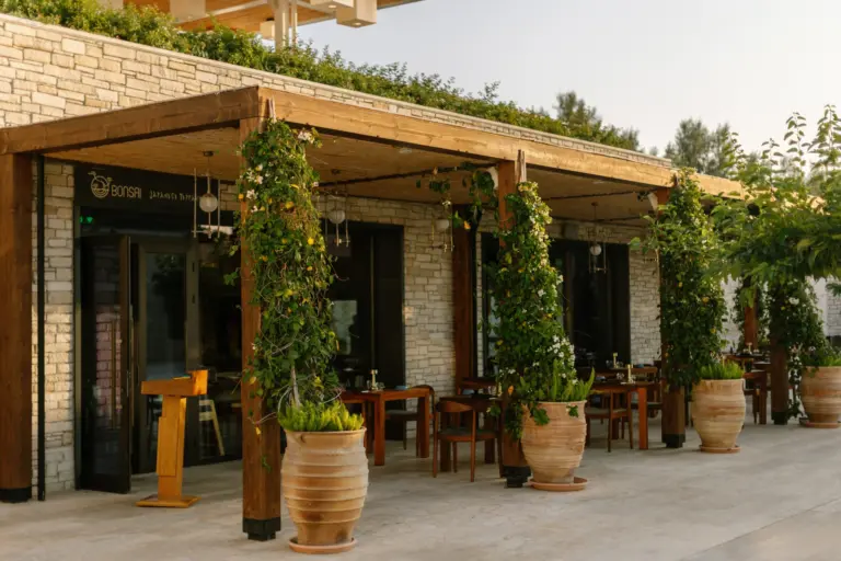 Bonsai at Cap St Georges