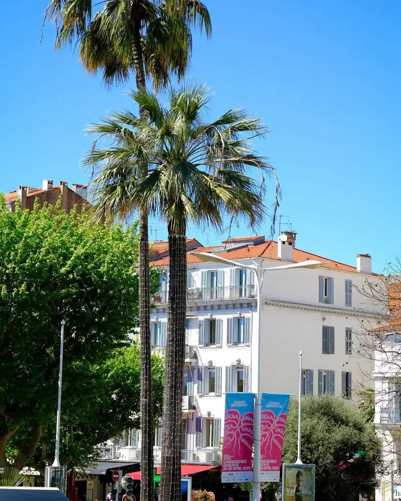 Canneseries and the broader Cannes experience